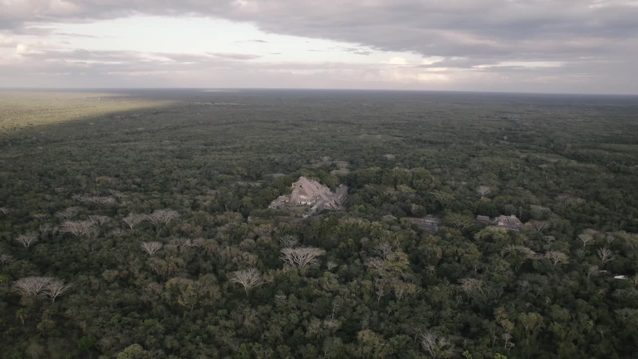 멕시코의 무성한 숲 들판의 공중 와이드 샷