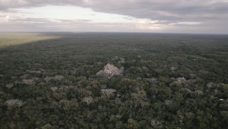 amplia toma aérea del exuberante campo forestal en méxico