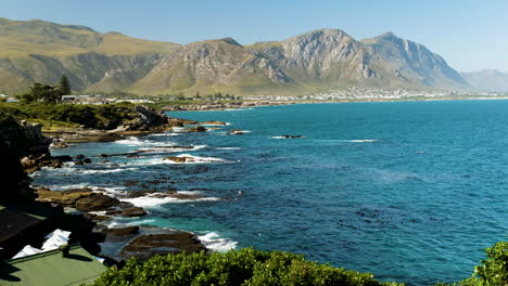 rugged hermanus coast with kelp forests and mountain background - beautiful setting with whales near coastline