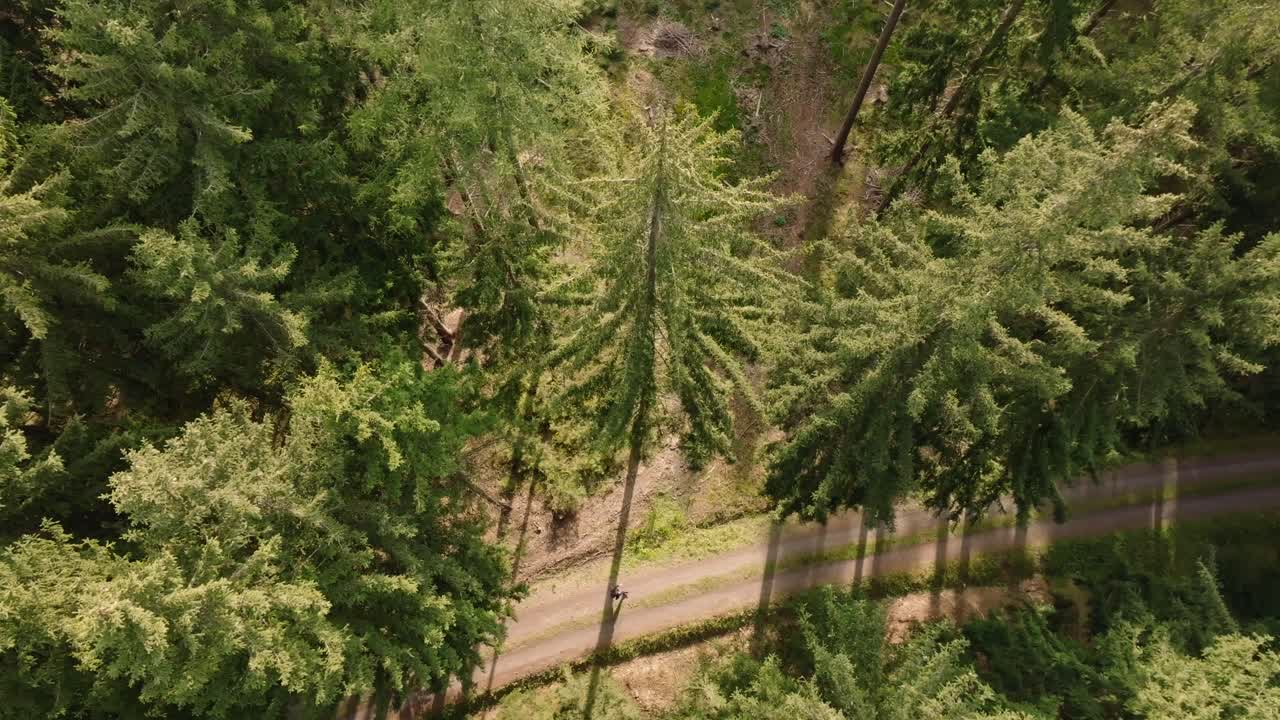 Person Hiking or Running on a Path Through a Lush Green Forest