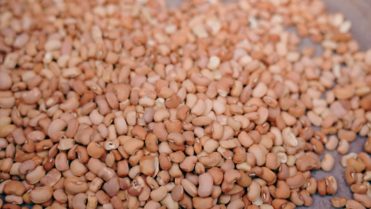 Ampla tomada de amendoins descascados espalhados em uma bandeja, formando uma camada densa de leguminosas castanhas, com distribuição uniforme, peneiragem manual ocasional, secagem e classificação para processamento, textura granular, fundo neutro, com alto nível de detalhe.