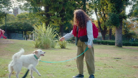 girls playing with their dogs on green lawn in the park
