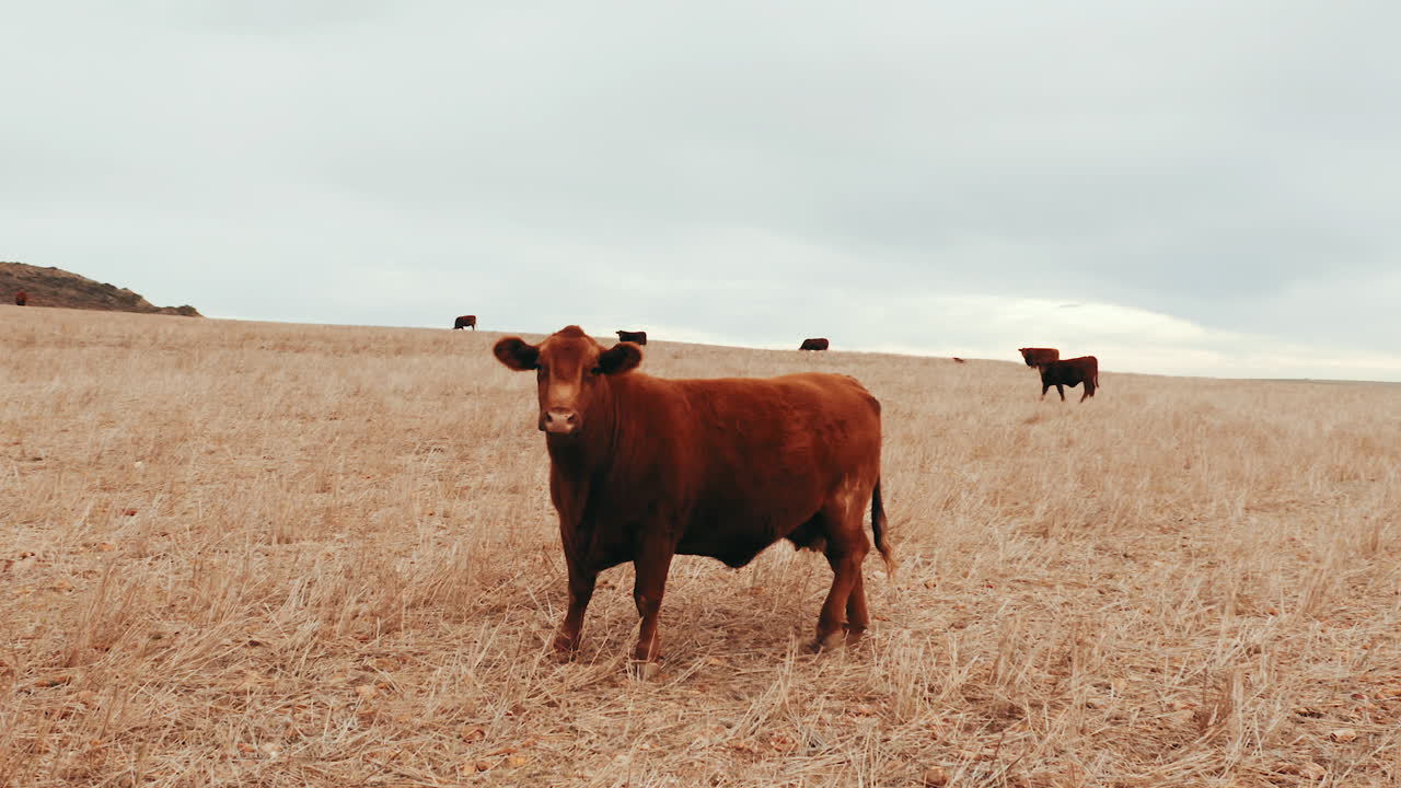 It's not just nature, it's my home