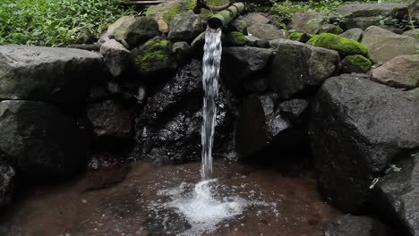 fresh-water-in-the-middle-of-the-forest-that-runs-in-pipes---bamboo