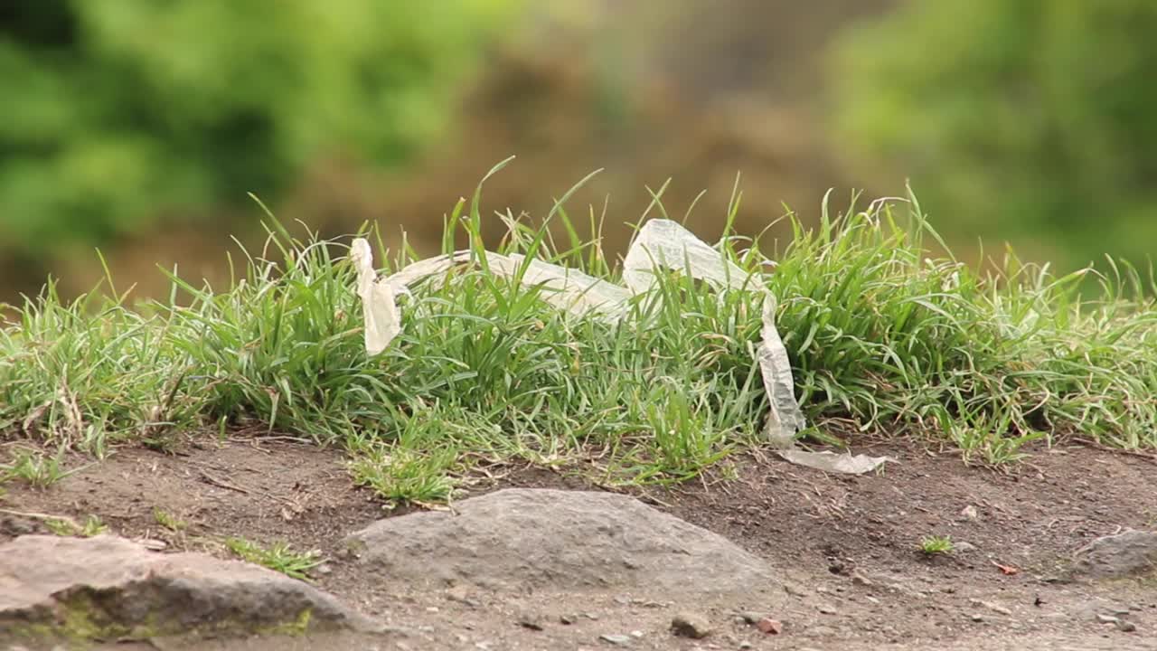 풀 에서 바람 에 움직이는 플라스틱 가방