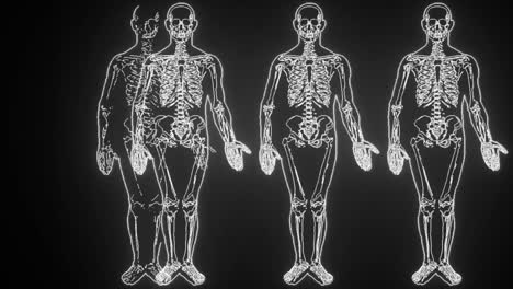 Röntgenbilder-Vergleichen