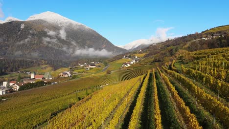 Drone-Aéreo-Sobre-Los-Viñedos-En-Otoño-En-Novacella,-Neustift-Tirol-Del-Sur