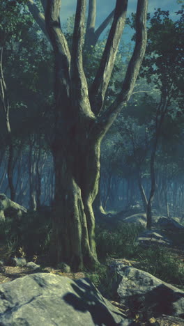 el bosque oscuro y misterioso