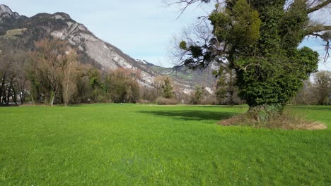 campo cerca de las montañas en walensee, suiza, paisaje natural en europa