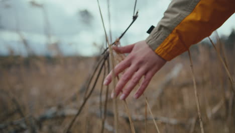 Woman-gentle-touching-tall-grass-while-walking-alone-on-meadow-during-fall