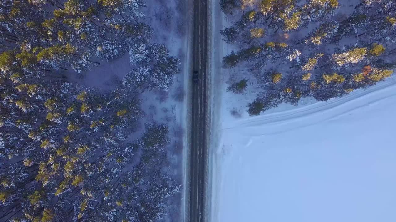 Snowy Forest Road