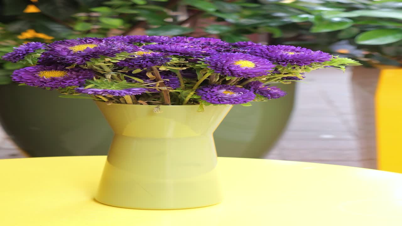 flores de aster púrpura en un jarrón verde en una mesa amarilla