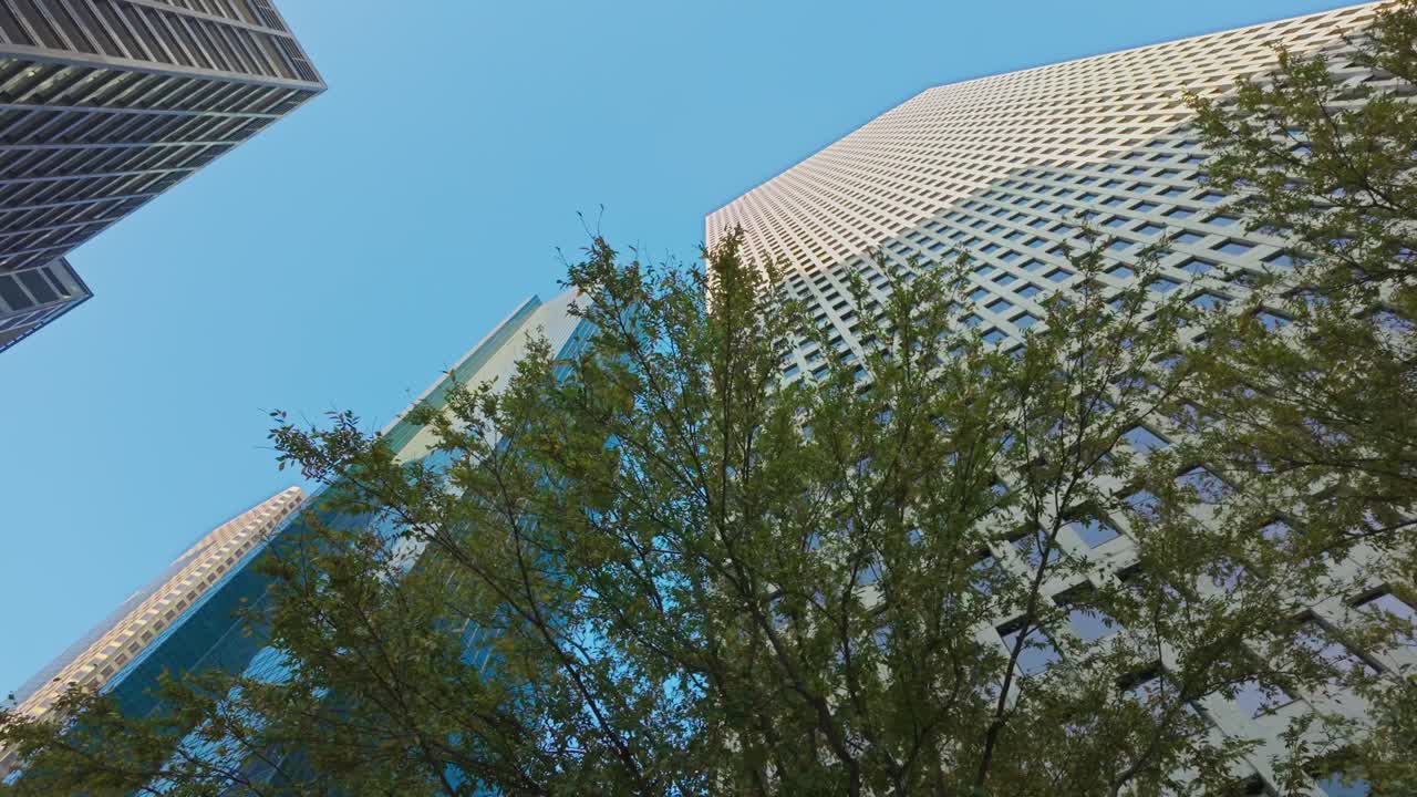 Skyscrapers in Downtown Houston behind tree leaves