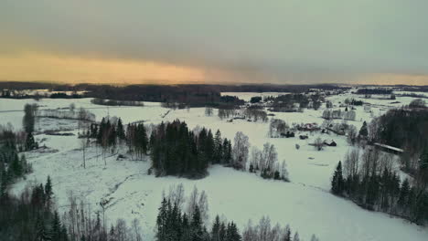 Aerial-nature-woods-forest-covered-in-white-snow,-rural-woodlands-in-winter