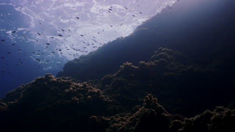 underwater shot of an underwater cliff and waves crushing on rocks in mediterranean sea