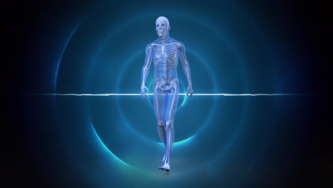 animation of human walking over blue circles