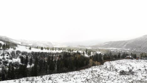 winterscape rocky mountains valley with pine trees and snow-covered field near estes park, colorado usa