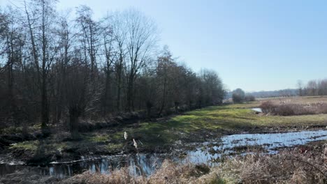 Sumpf-Mit-Wasser-Beschossen