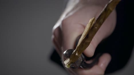 close up shot of person's hand cutting end of plant, restoration process