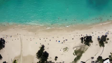 vista aérea de arriba hacia abajo de los turistas que bordean la playa de arena blanca de hawai