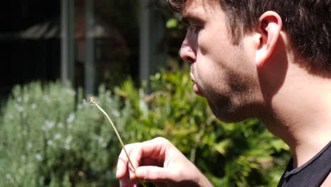 Male-blows-dandelion-in-slow-mo