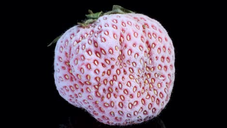 one fresh frozen strawberry on black glass with reflection. black background, rotation 360 degrees, close-up