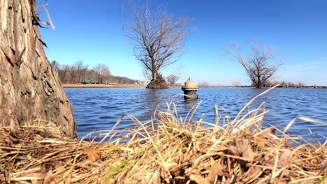 Hydrant-Teilweise-Unter-Wasser-Getaucht,-Um-Eine-Permanente-Überschwemmungspfanne-Hinter-Einem-Baum-Zu-Enthüllen,-Um-Überschwemmungen-Im-Teichpark-Von-Wolfe-Zu-Enthüllen