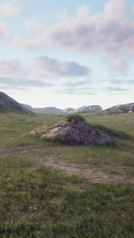 green grass field with mountains in the background