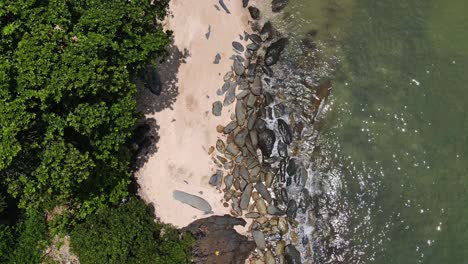 Toma-Vertical-Estática-De-Drones-De-La-Playa-De-La-Jungla-Y-El-Océano