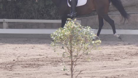 Classical-horse-riding-competition,-rider-in-Olympic-equestrian-practice