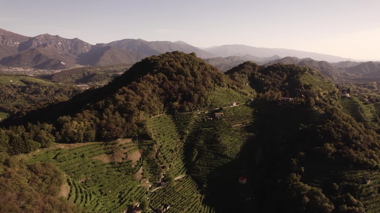 vista aérea del paisaje sobre las famosas colinas de prosecco con muchas filas de viñedos y montañas en el fondo, italia
