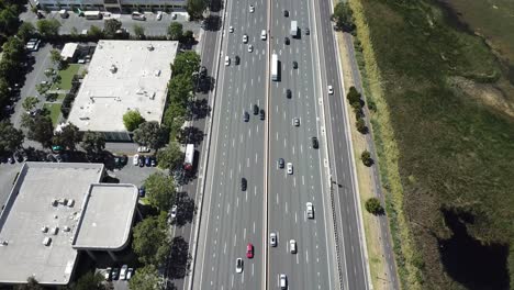 Aerial-view-of-suburbs-dense-trees-rooftop-houses-pine-trees-cars-freeway-101-marsh-on-left-tilt-up