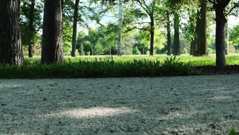 slow motion clip of person running on dirt path through park