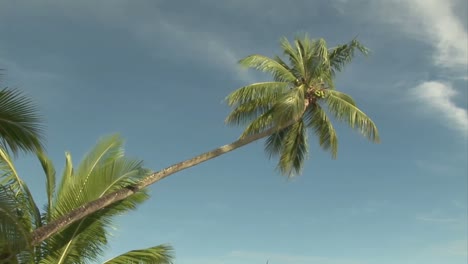 imágenes de las poblaciones de islas tropicales