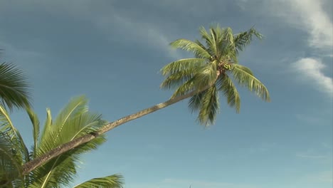 stock footage tropical island