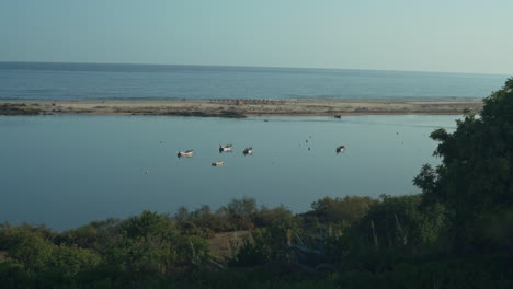 Wide-shot-of-a-fleet-of-small-fishing-boats-anchored-in-a-natural-harbor