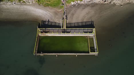 Man-jumping-to-Motueka-Salt-Water-Baths-swimming-pool-and-park-on-seaside---aerial-drone