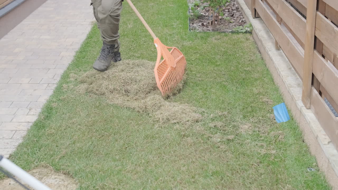 Pessoa Rastelando Grama Cortada em um Gramado Residencial