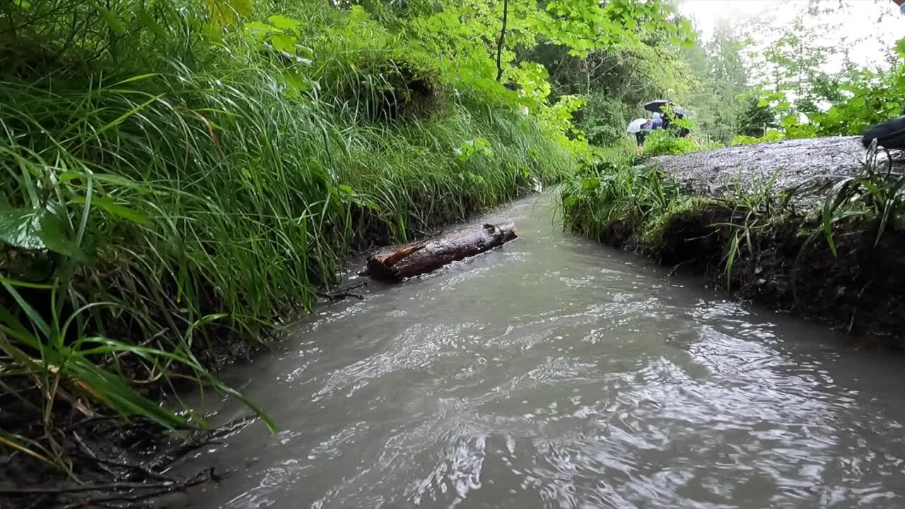 스위스 알프스에서 젊은 등산객들이 시작한 강을 가로지르는 나무 조각