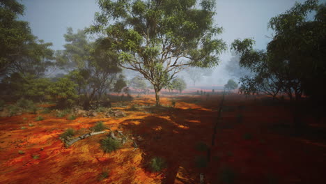 paisaje nebuloso del interior de australia