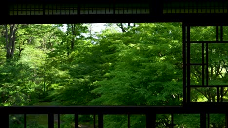 Slowly-walking-toward-window-with-beautiful-green-garden