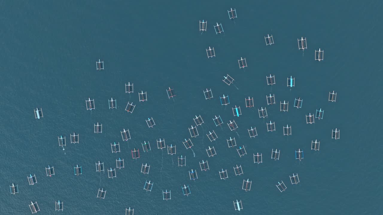 Aerial top down view of many traditional indonesian jukung outrigger boats gathering in the calm blue sea for a dolphin watching tour in lovina, bali