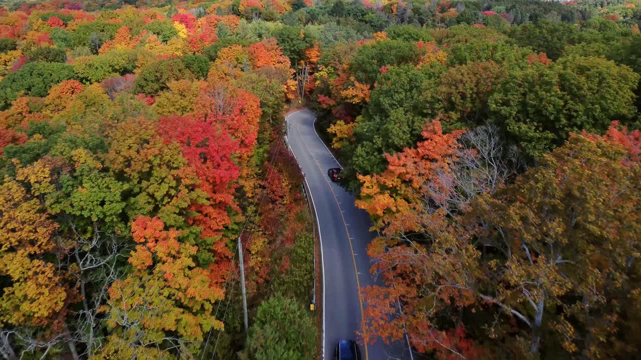drone siguiendo un coche que conduce a través de una carretera forestal con follaje de otoño