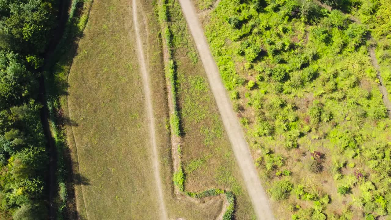 antena: jardín de campo de murciélagos en natterer's wood, suffolk - toma de seguimiento de drones
