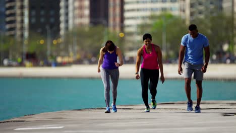 gente multiétnica descansando y corriendo al aire libre en chicago