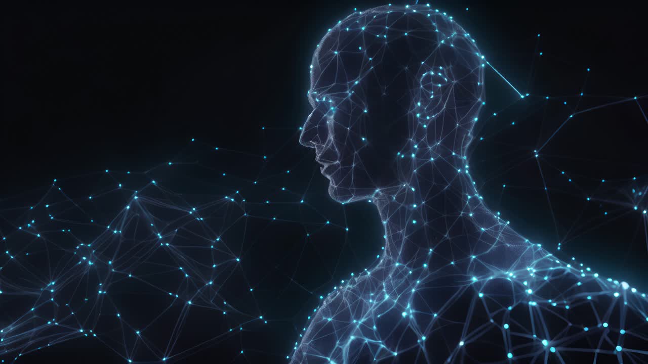 Digital Representation of a Human Profile