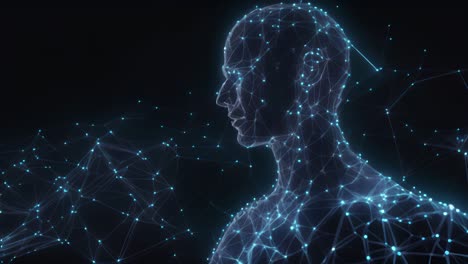 digital representation of a human profile