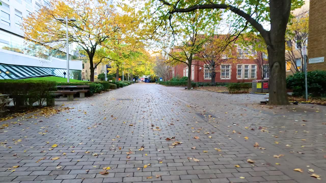 나무 와 건물 들 이 있는 조용 한 길