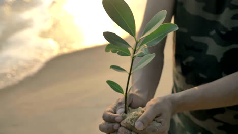 a movement shot of a young activist or male volunteer holding a small green plant.