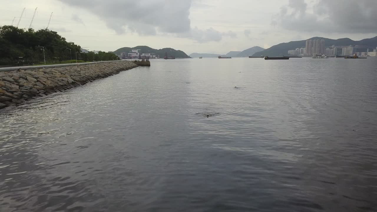 홍콩의   오 시의 드론 영상